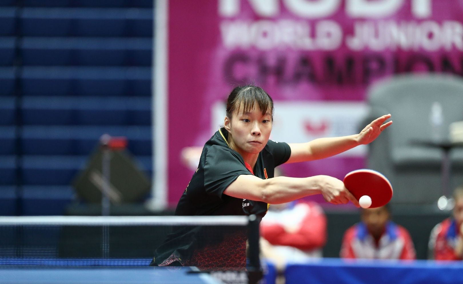 全达到巅峰 全达到巅峰