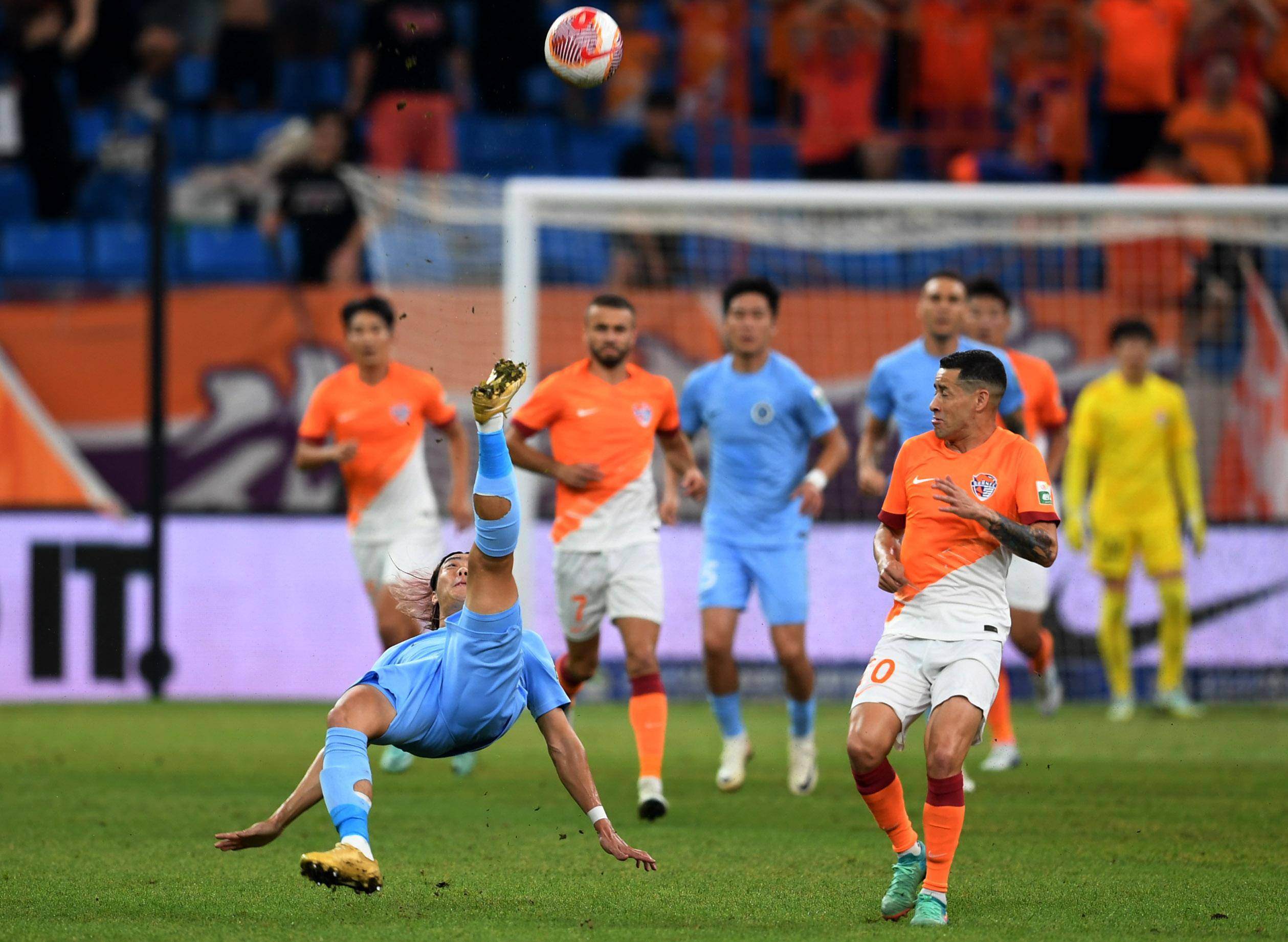 运动员的效 运动员的效